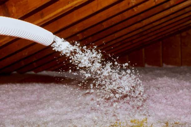 Best Local Insulation Services  in Tontitown, AR