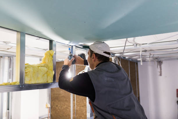 Best Soundproof Insulation Installation  in Tontitown, AR
