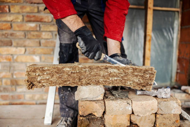 Best Insulation Removal  in Tontitown, AR